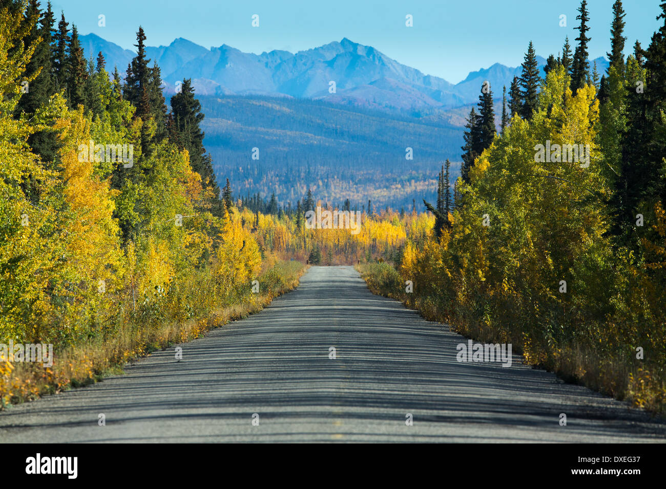 La route Dempster, au Yukon, Canada Banque D'Images