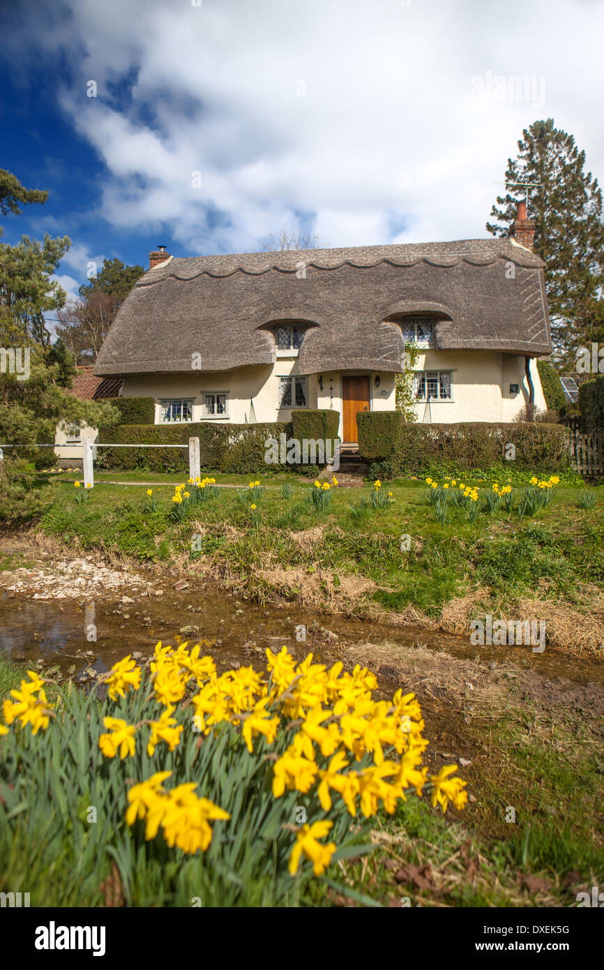 Joli village de Arkesden, Essex en Angleterre Banque D'Images