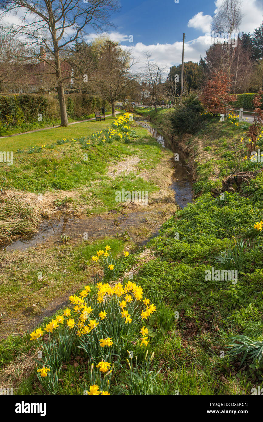 Joli village de Arkesden, Essex en Angleterre Banque D'Images