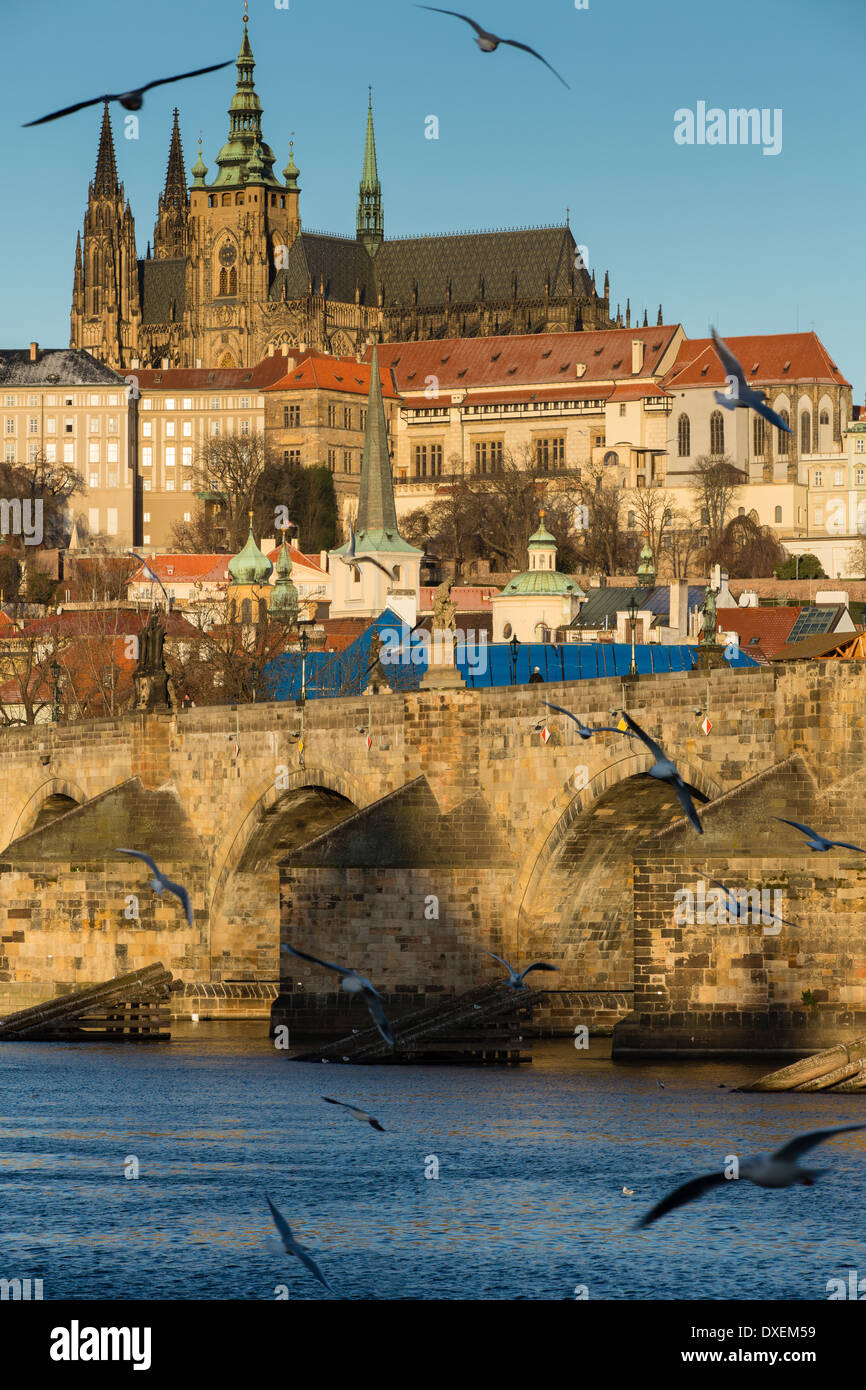 Les oiseaux qui survolent le quartier du château avec St Cathédrale Saint-Guy, le Pont Charles et la rivière Vltava, Prague, République Tchèque Banque D'Images