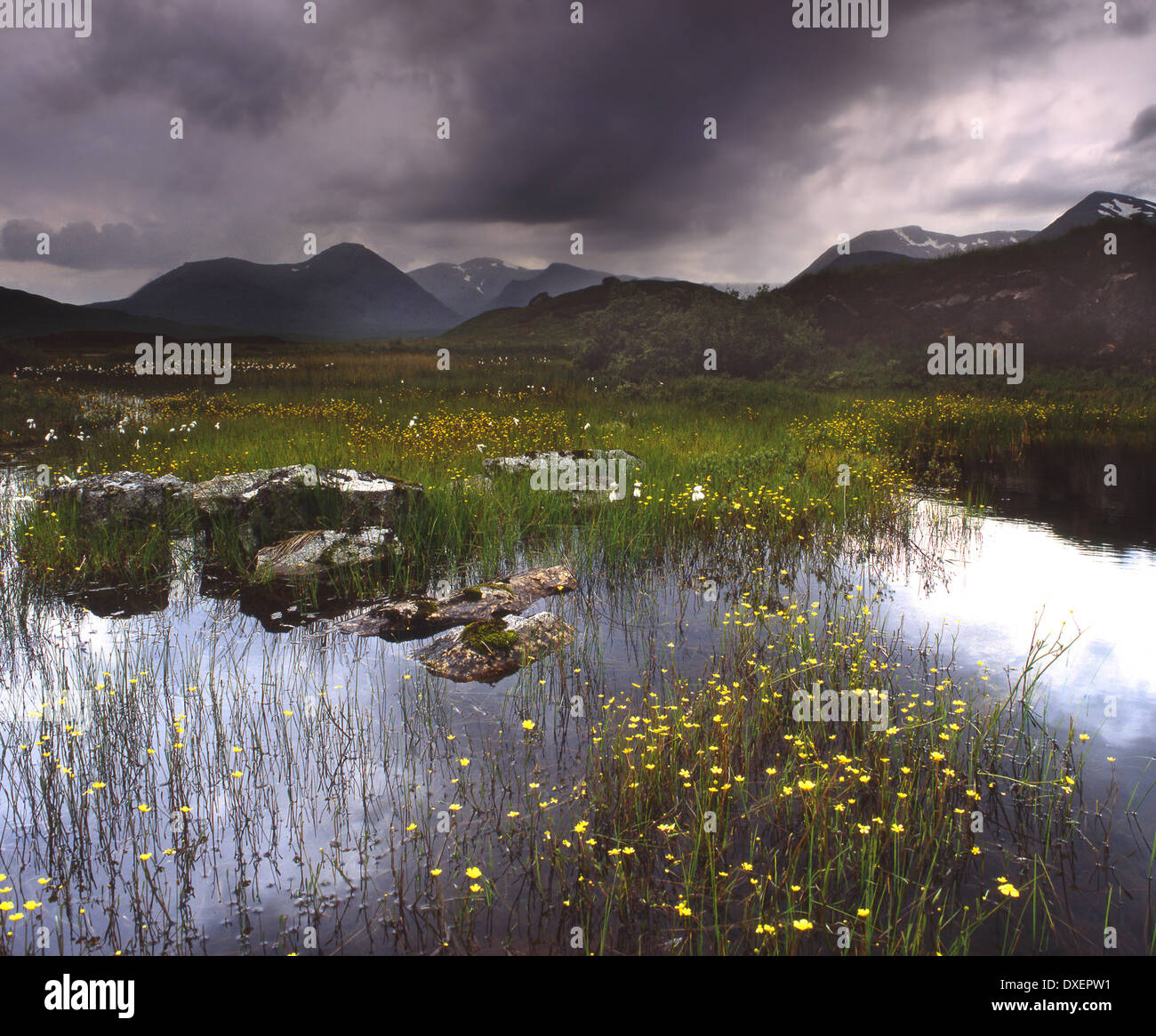 Rannoch Moor, Glencoe Banque D'Images
