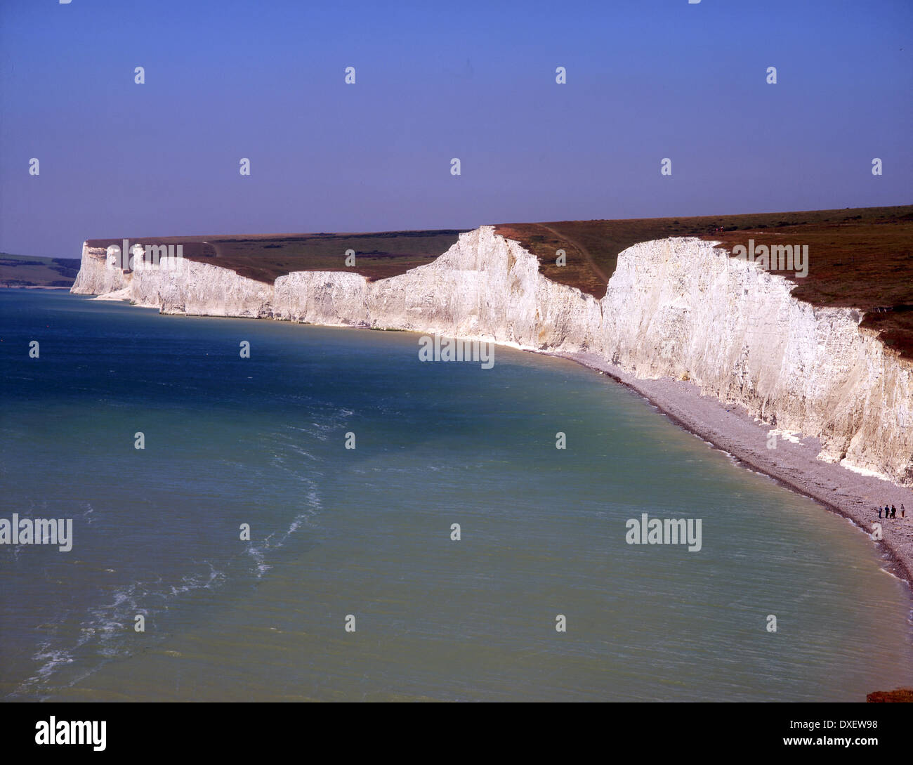 Falaises de craie nr Beachy Head près de Eastbourne, East Sussex, Angleterre Banque D'Images
