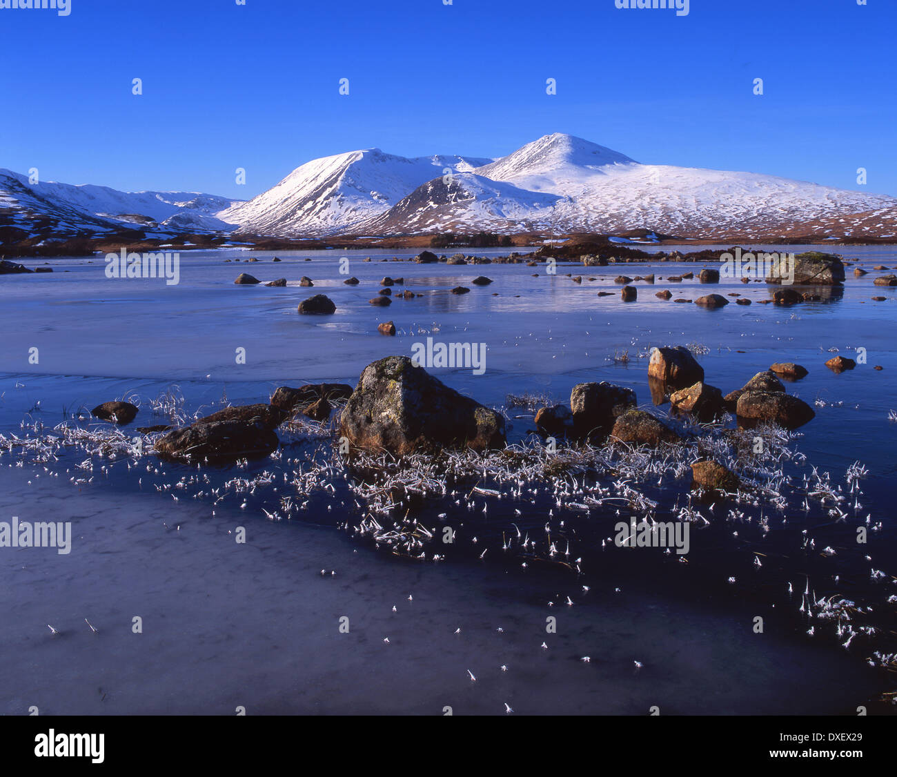 Scène d'hiver sur le Loch Rannoch Moor, Ba, à l'ouest des Highlands. Banque D'Images