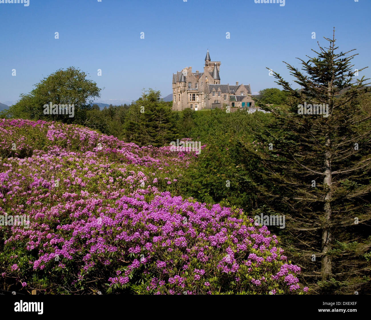 Printemps vue vers le château de Glengorm, Isle of Mull Banque D'Images