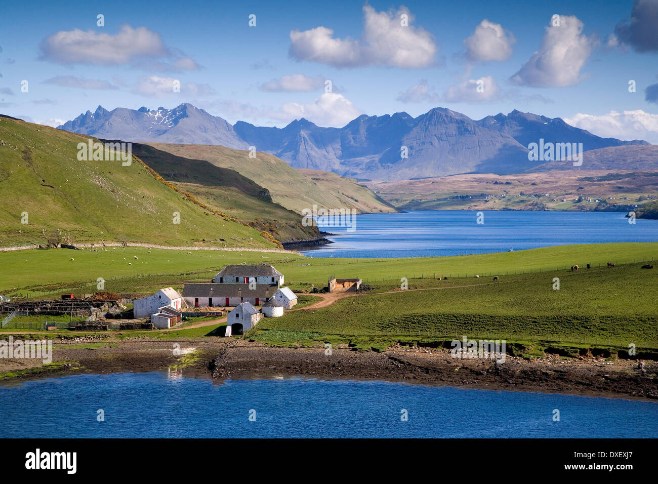 Vue d'été de Gesto Bay sur le Loch Harport vers les Cuillins spectaculaire, île de Skye Banque D'Images
