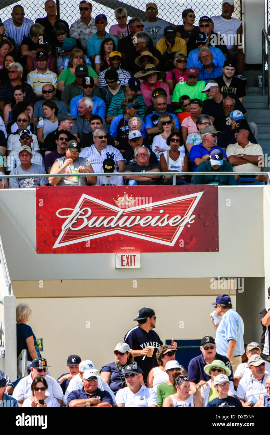 Logo Budweiser à l'affiche au stade les Rays de Tampa Bay en Floride Banque D'Images