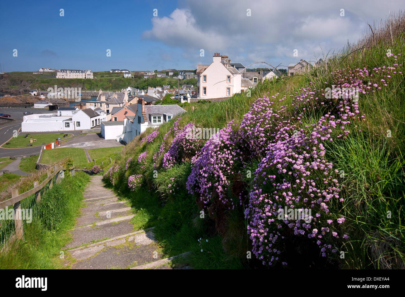 Portpatrick que voir à partir de la falaise à pied de Dunskey, Rhinns of Galloway, Scotland,dunfries et Galloway, Banque D'Images