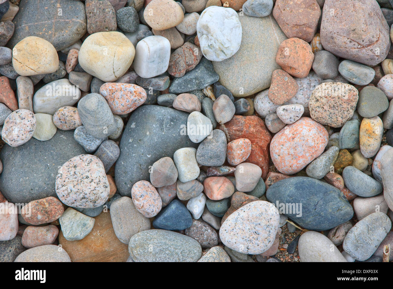 Galets sur la rive Banque D'Images