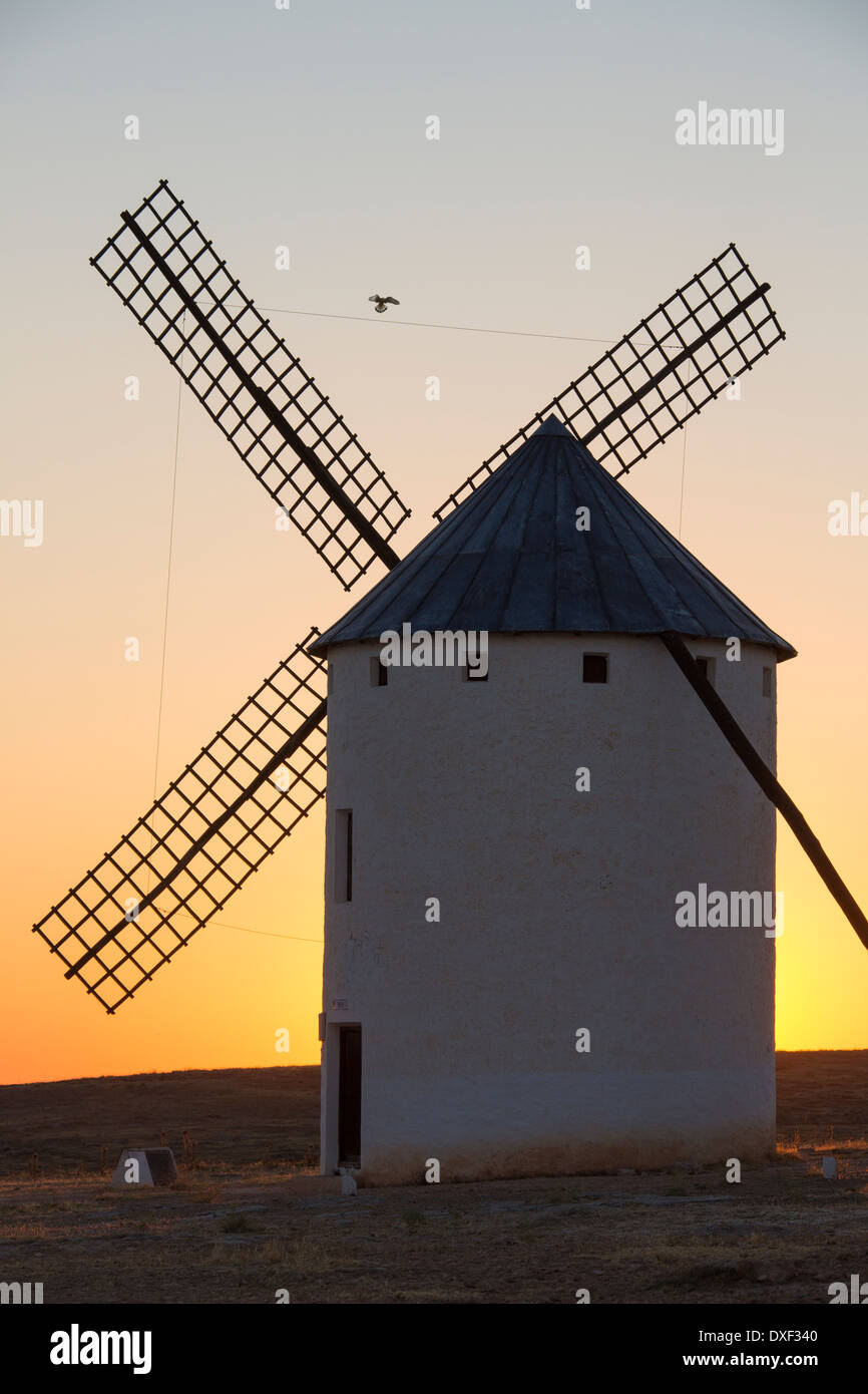 La fin de l'après-midi du soleil sur un moulin à vent à Campo de Criptana dans la région de Castille-La Manche du centre de l'Espagne. Banque D'Images