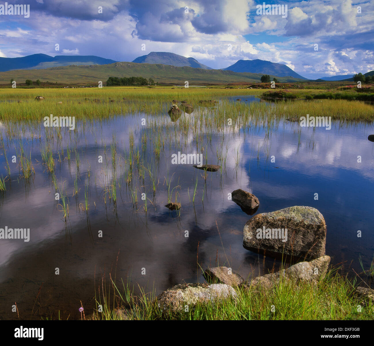 Réflexions d'été sur Rannoch Moor en regardant vers le pont de Orchy,West Highlands Banque D'Images