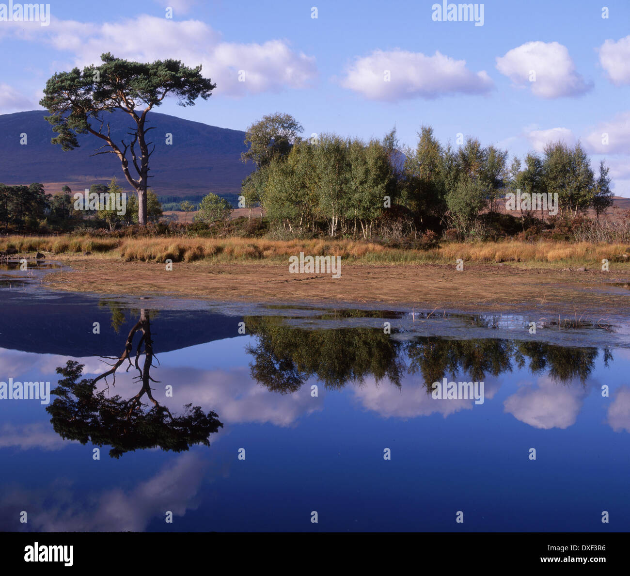 Réflexions sur le Loch Tulla, avec blackmount en vue,West Highlands. Banque D'Images