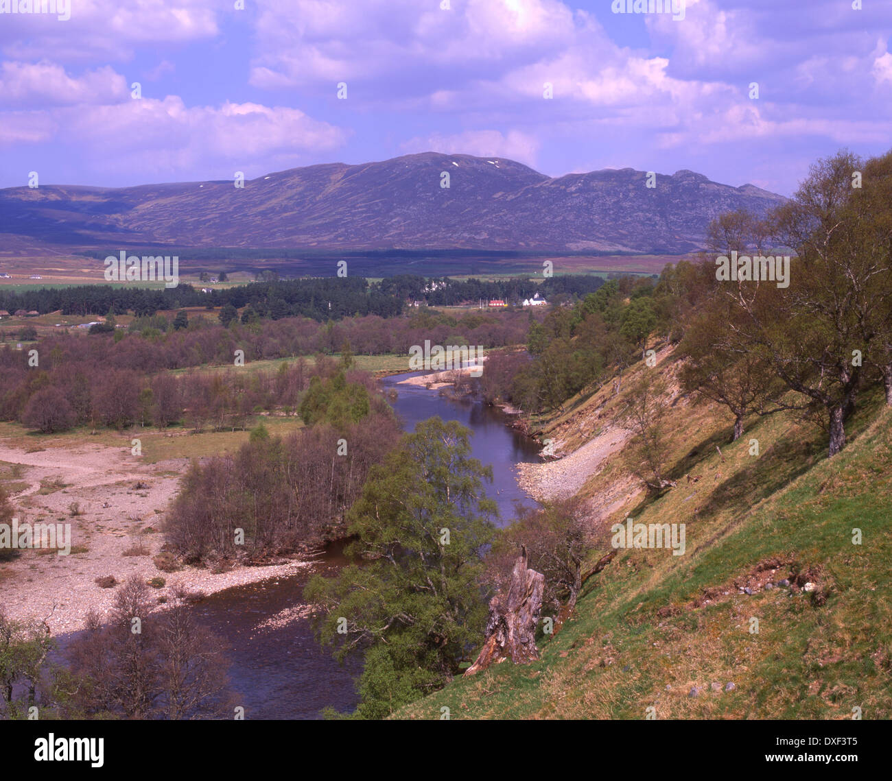 Vue sur la rivière Spey vers le lointain Newtonmore, Speyside. Banque D'Images