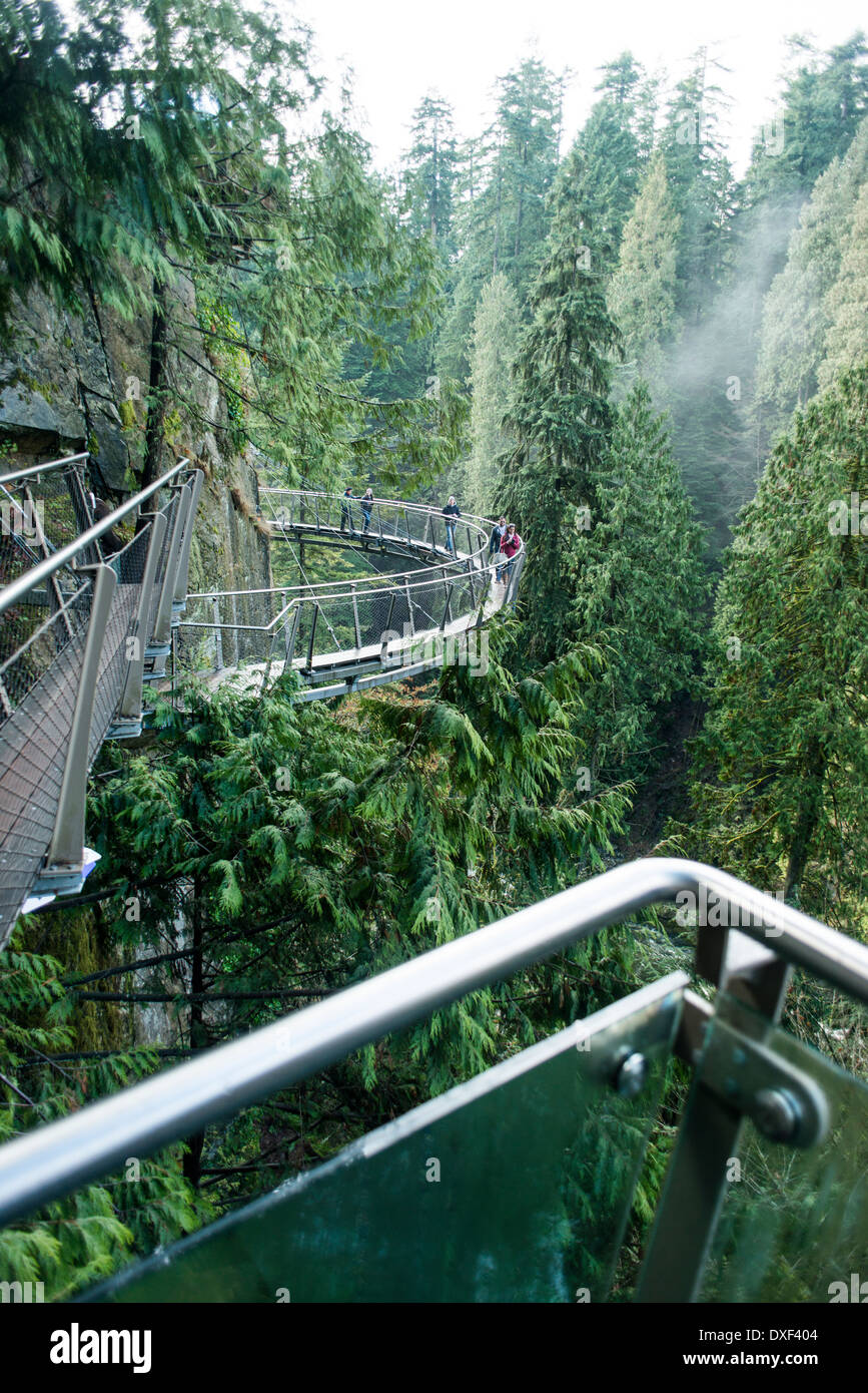 Le Pont Suspendu de Capilano, à North Vancouver, forêt tropicale, attraction touristique, Capilano River Banque D'Images