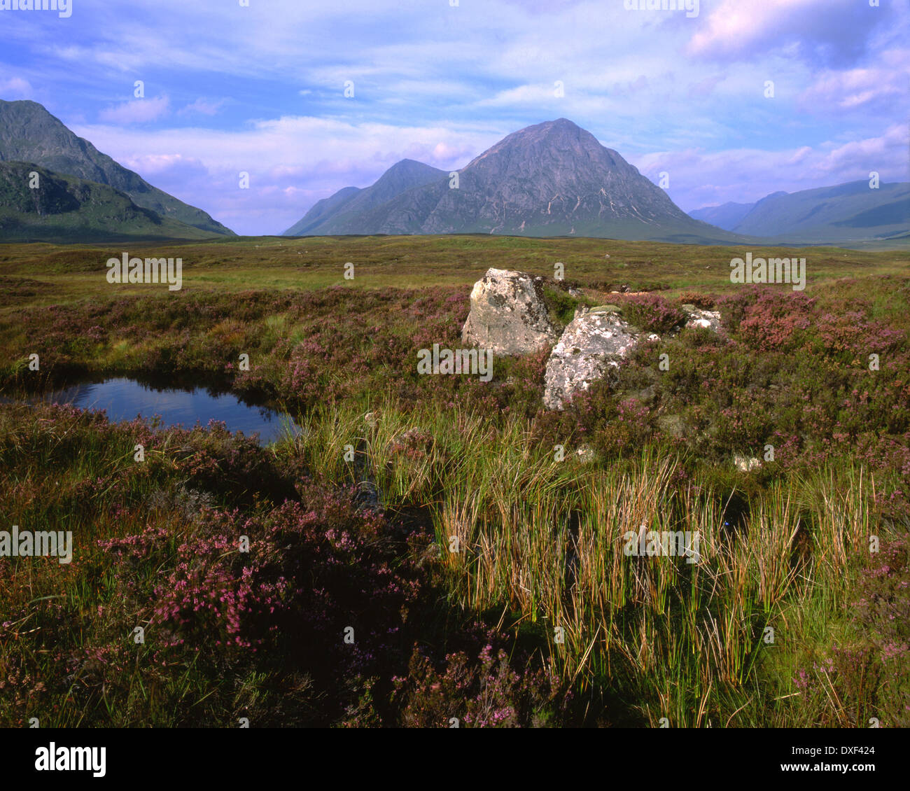 Paysage près de Glncoe robuste avec Buachaille Etive Mhor en vue, à l'ouest des Highlands. Banque D'Images