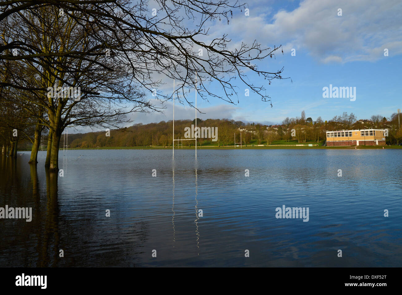 Les moineaux Den Inondations Banque D'Images