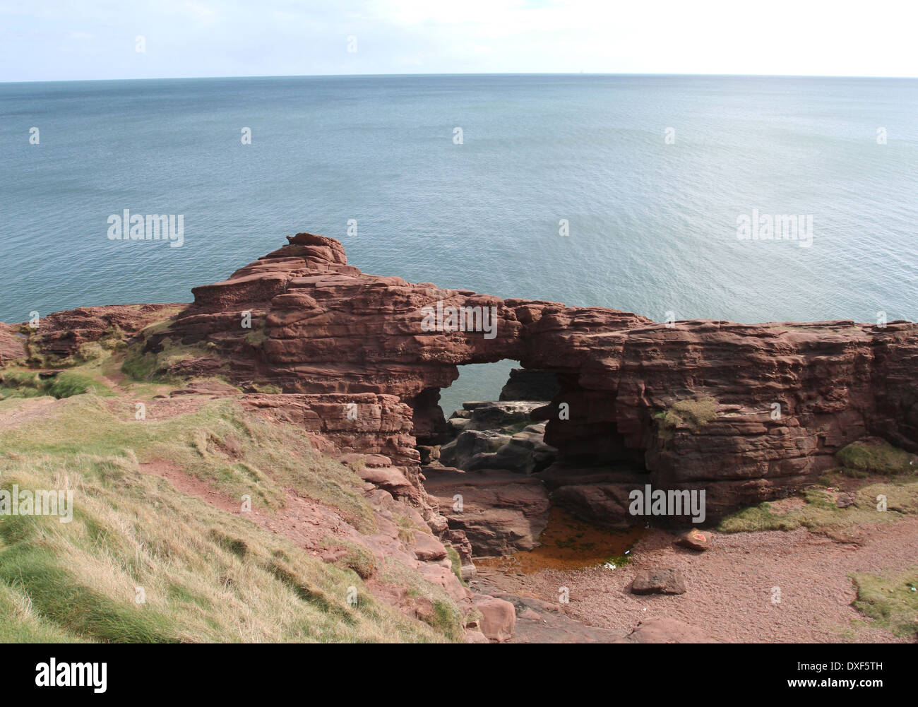 Aiguille de e'e rock arch dans le grès rouge des falaises seaton angus scotland mars 2014 Banque D'Images