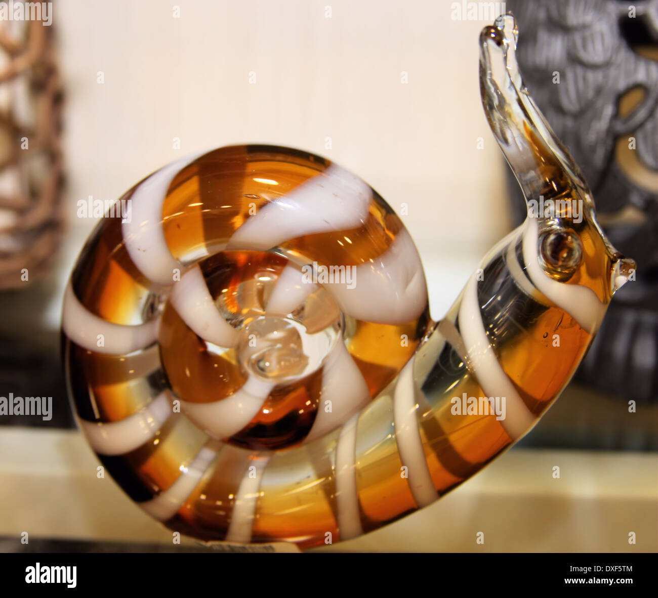 Escargot de verre Banque de photographies et d'images à haute résolution -  Alamy