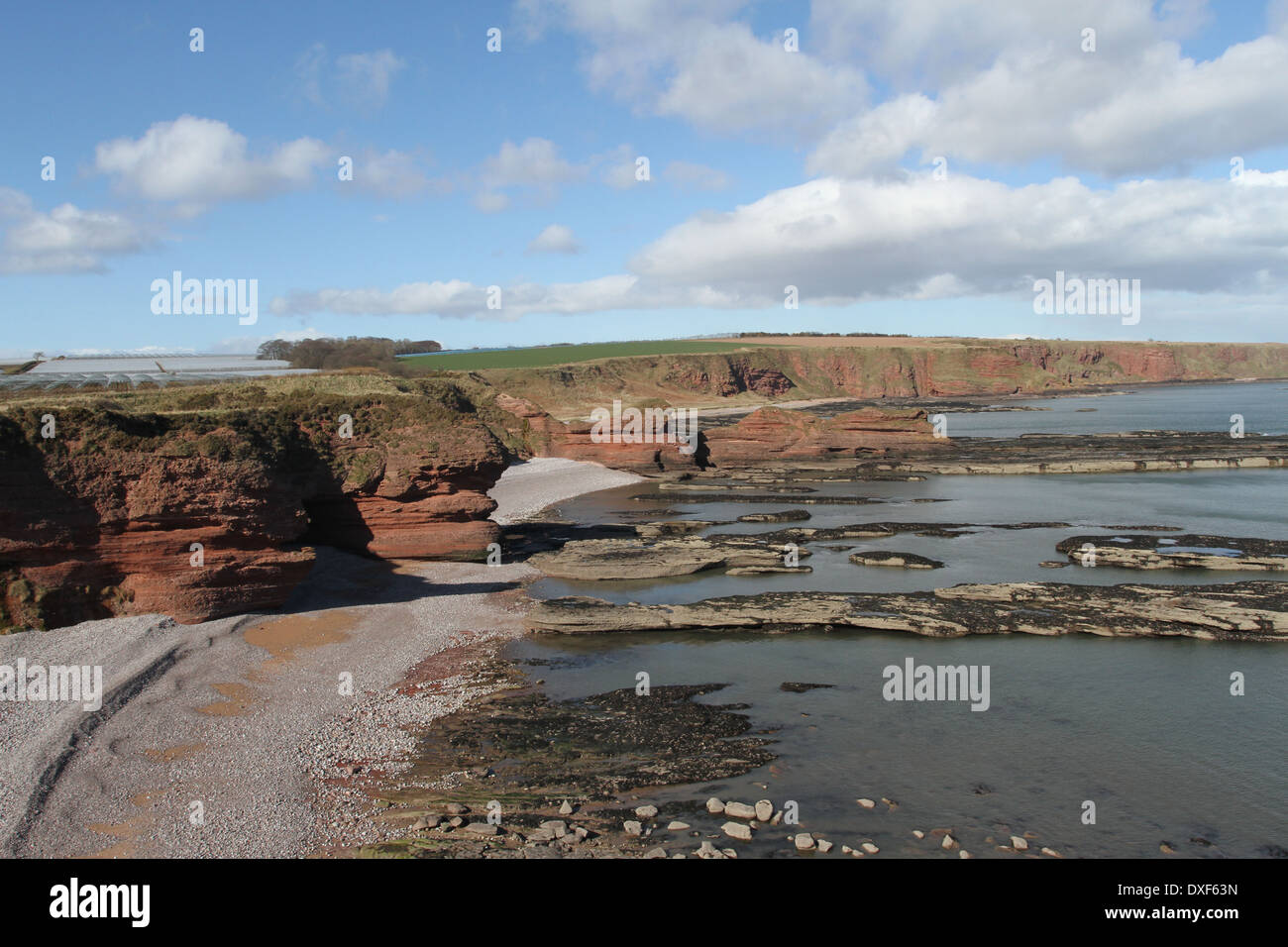 Plage et falaises de grès rouge de Seaton Angus Scotland Mars 2014 Banque D'Images