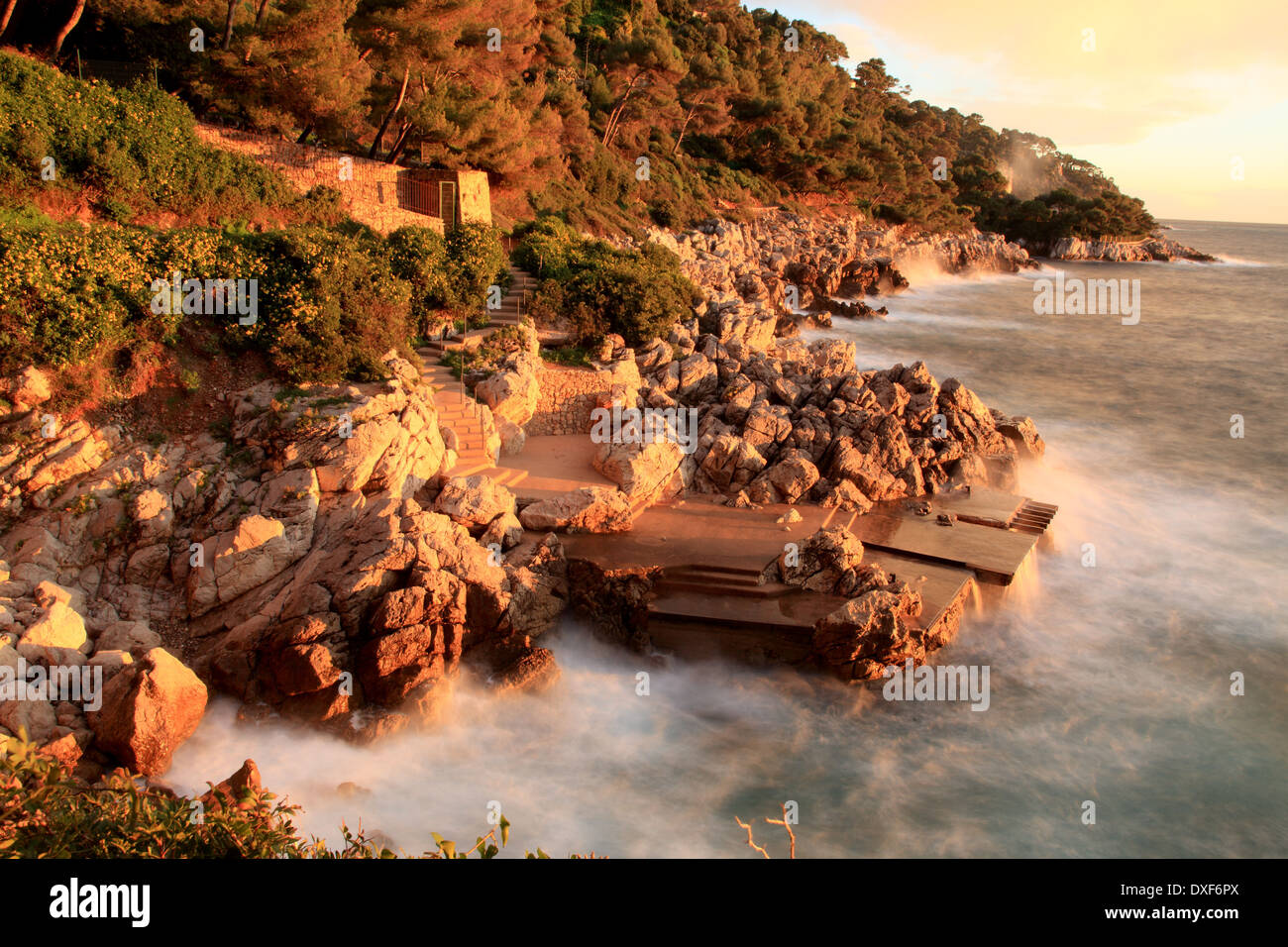 Le Cap Ferrat sur la côte d'Azur Banque D'Images