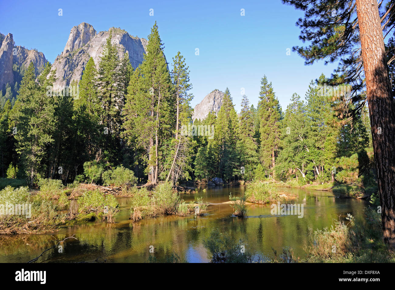 La rivière Merced, Yosemite National Park, California, USA, Amérique du Nord Banque D'Images
