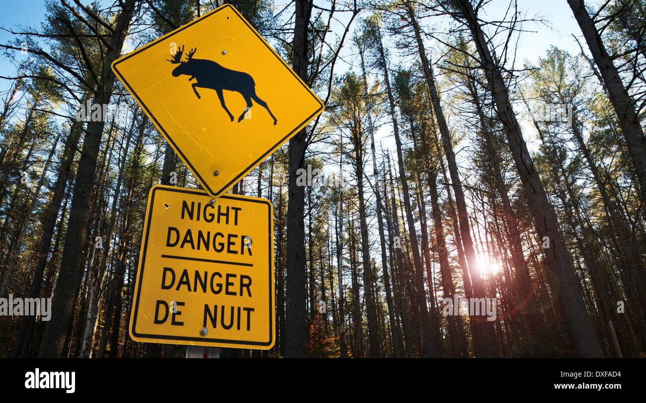 Close-up of moose le signe de danger, Trans Canada Highway, près de Wawa, en Ontario, Canada Banque D'Images