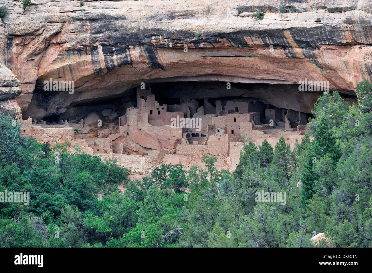 Cliff Palace, falaise d'habitation les Indiens d'Amérique, environ 800 ans, le Parc National de Mesa Verde, Colorado, USA Banque D'Images