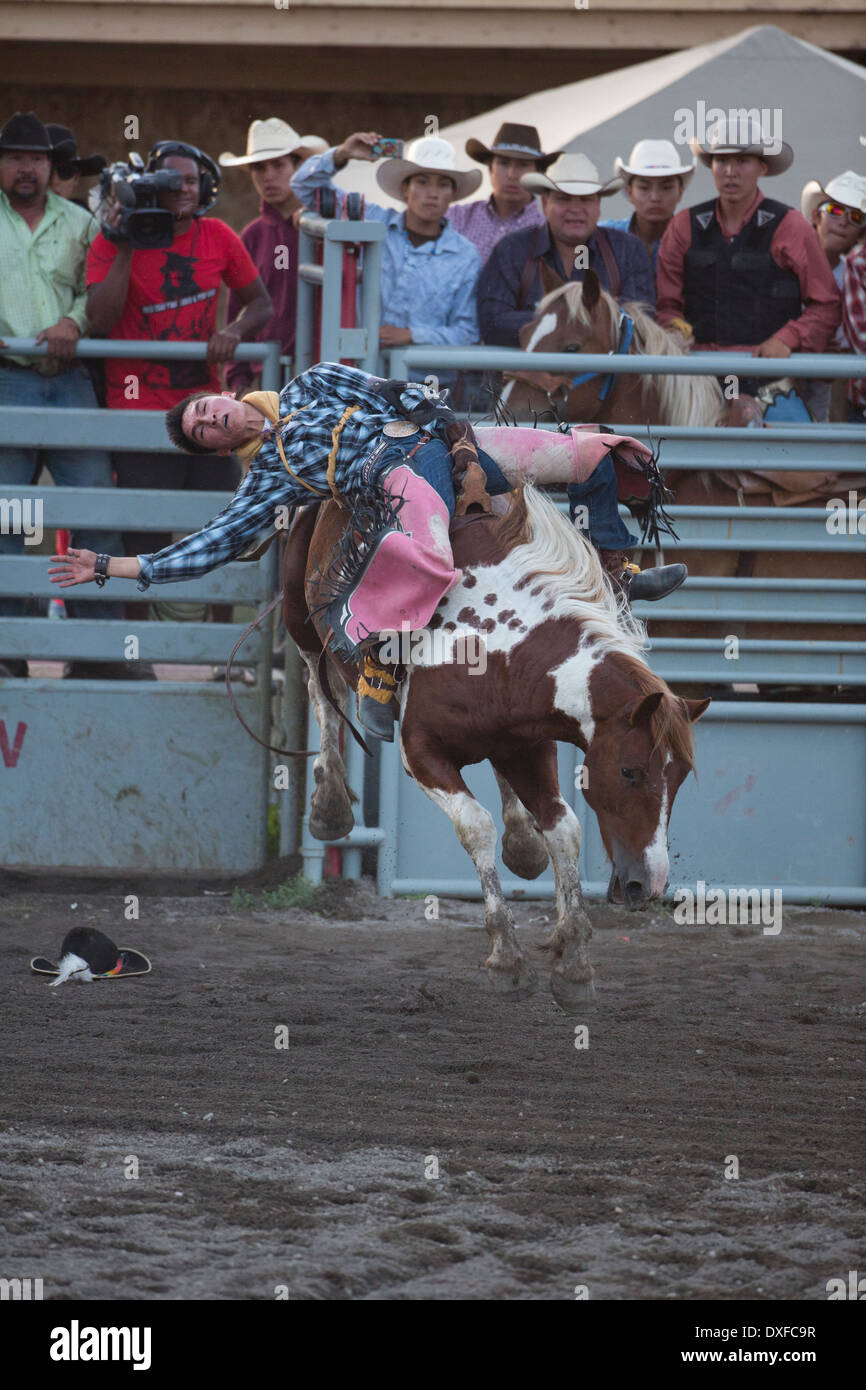 Un Native American cowboy rides dans la Selle Bronc événement à la réserve Tsuu T'ina Indian Rodeo à Bragg Creek à l'ouest de Calgary, Alberta. Banque D'Images