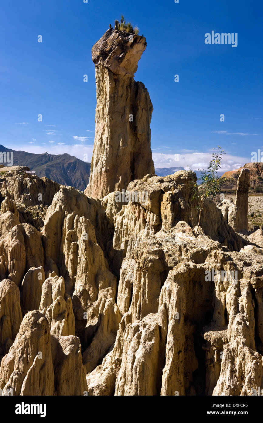 Sombrero de la Dama (Lady's Hat) sur la Valle de la Luna (vallée de la Lune) près de La Paz en Bolivie. Banque D'Images