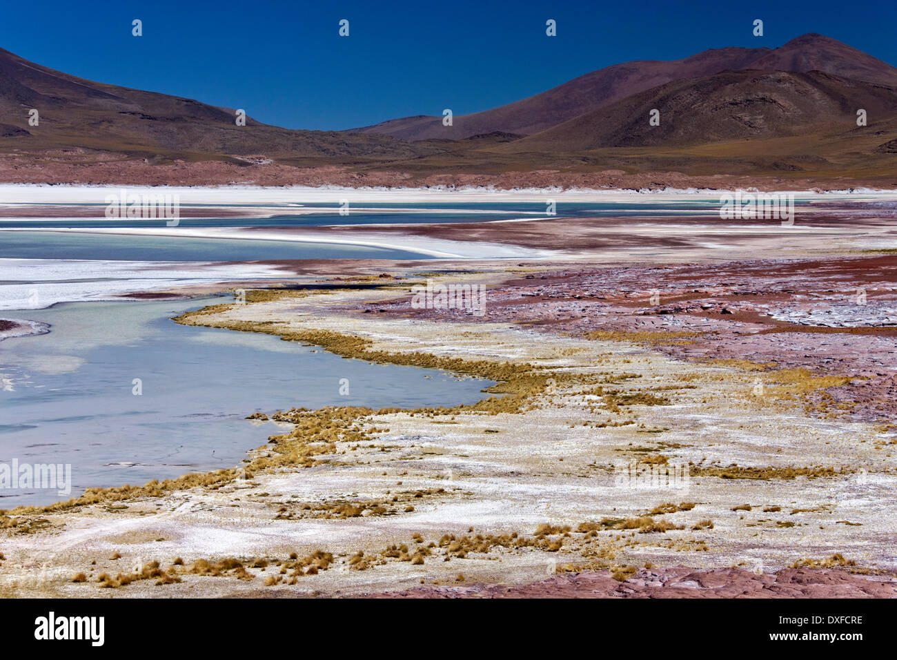 Les dépôts de sel à des valeurs de Calientes Lagoon en désert d'Atacama au nord du Chili Banque D'Images