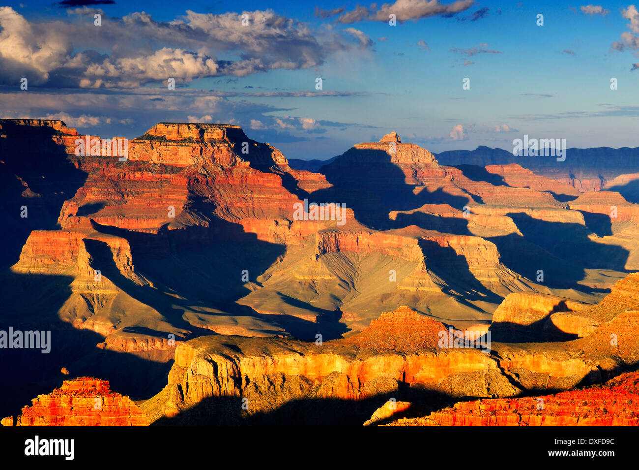 Rive Sud, le Parc National du Grand Canyon, près de Yavapai Point, Arizona, USA Banque D'Images