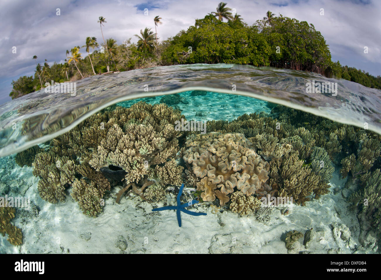 Lagon de l'île tropicale, la Mélanésie, l'océan Pacifique, les Îles Salomon Banque D'Images