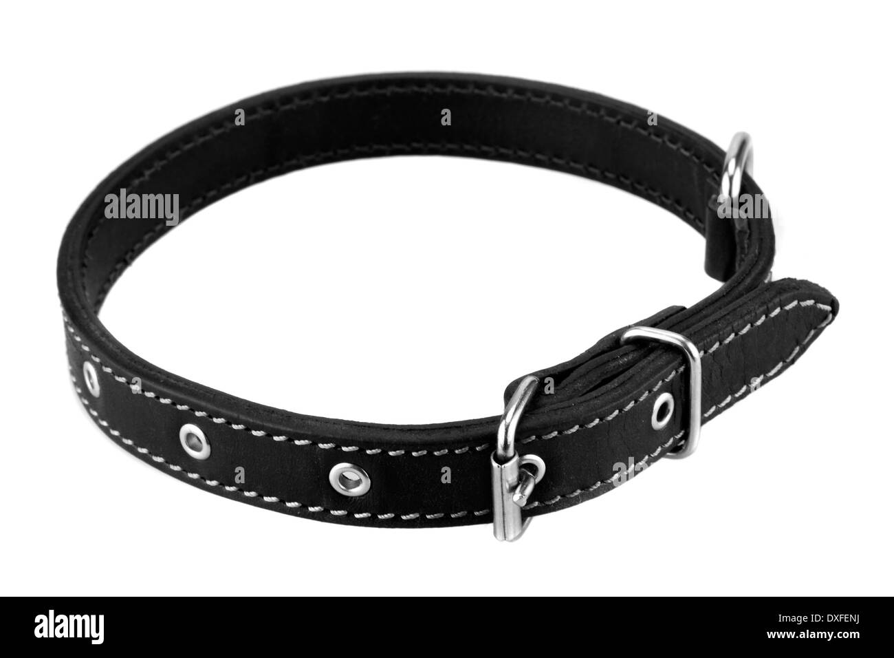 Collier pour chien en cuir noir Banque D'Images
