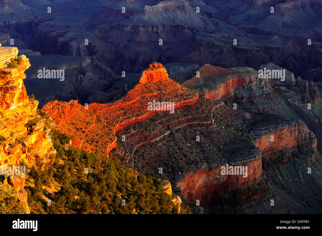 Yaki Point, Grand Canyon South Rim, Arizona, USA Banque D'Images