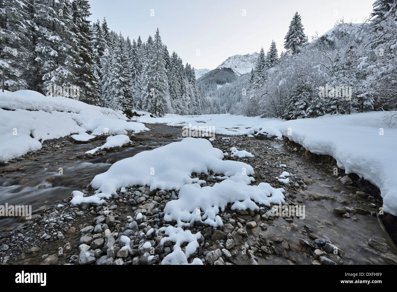 Ruisseau de montagne en hiver avec arbres et montagne couverte de neige, Berwang, Alpes, Tyrol, Autriche Banque D'Images