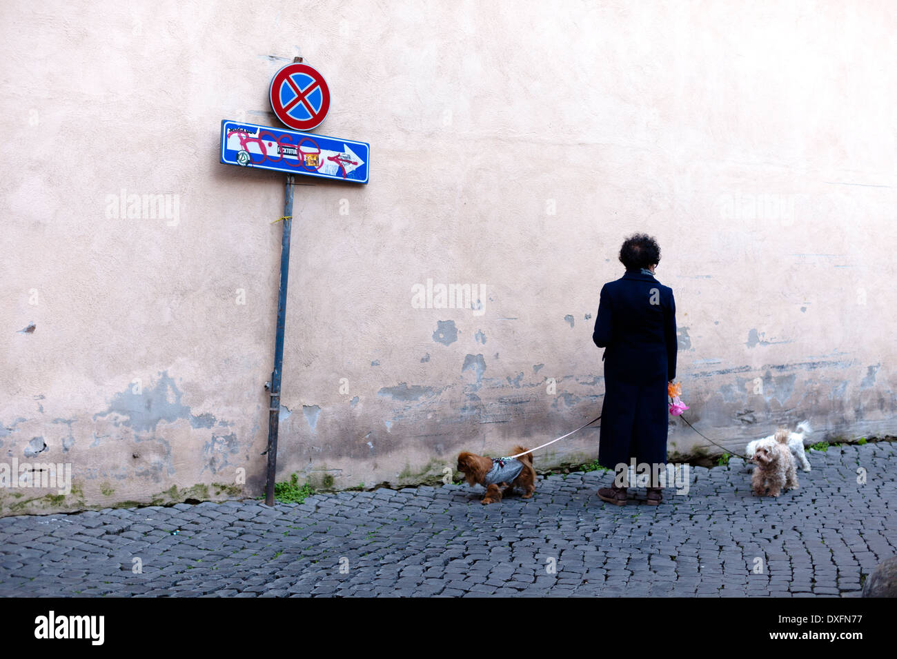 Femme marchant deux chiens à Rome, Italie Banque D'Images