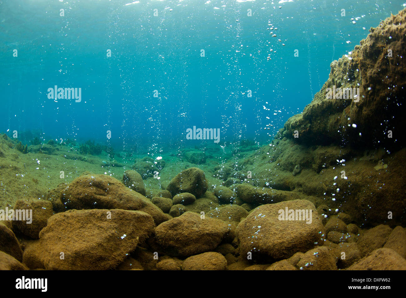 Les bulles d'air à Champagne Beach, mer des Caraïbes, la Dominique Banque D'Images