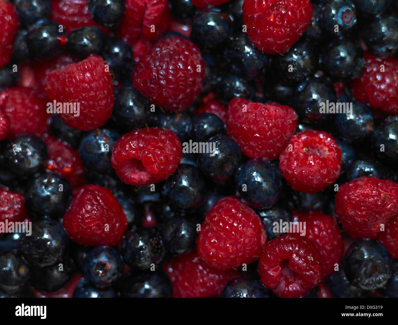 Vue plein cadre de framboises et bleuets Banque D'Images