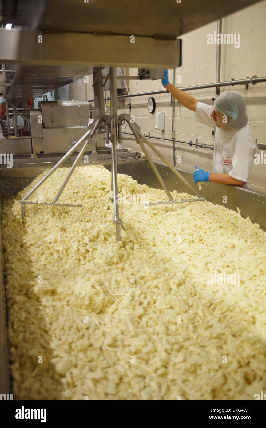 Intérieur de l'usine de fabrication des fromages avec les travailleurs Banque D'Images