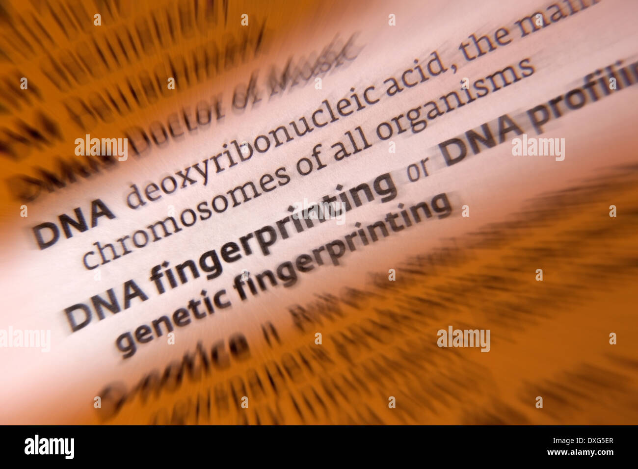 Les empreintes ADN - DNA Profiling Banque D'Images