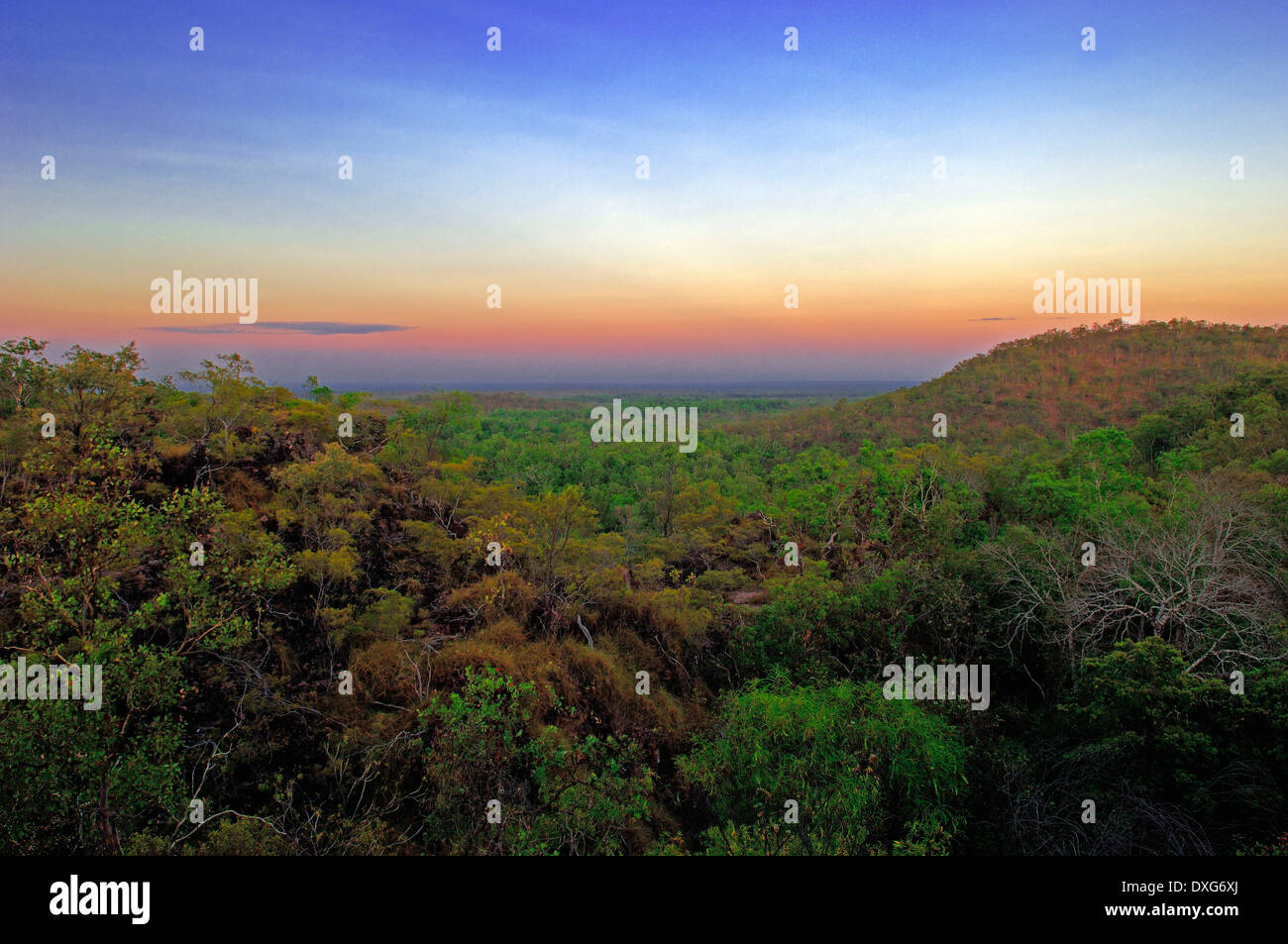 Litchfield National Park, Territoire du Nord, Australie Banque D'Images