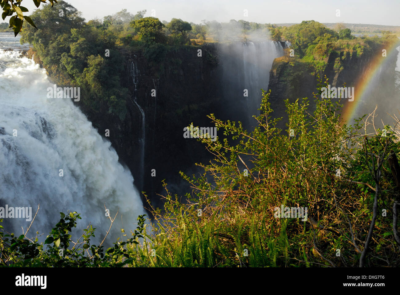 Le Devil's Cataract aux chutes Victoria sur le fleuve Zambèze comme vu de la côté de la rivière. Banque D'Images