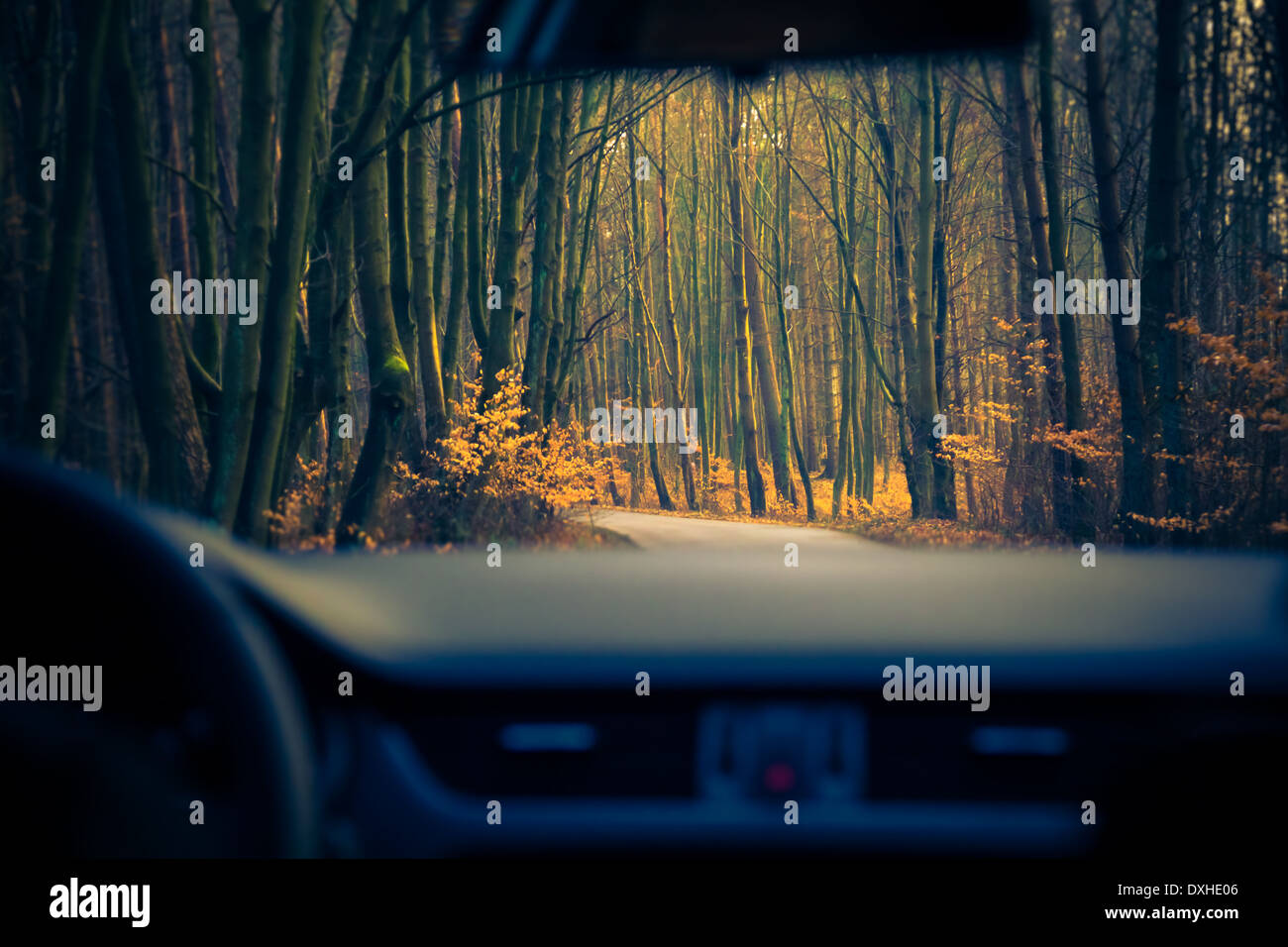 Vue depuis l'intérieur d'une voiture en mouvement road Banque D'Images