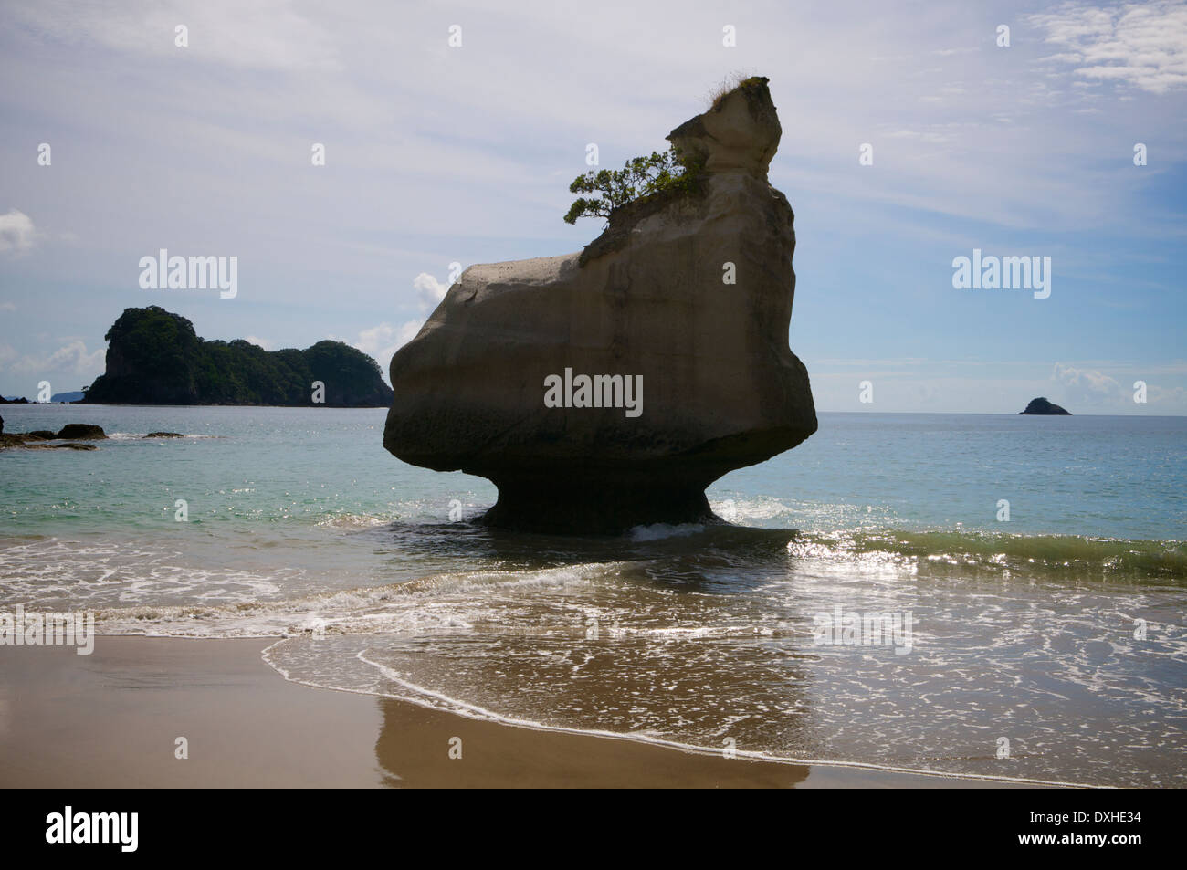 Pilier de roche ou tour de Cathedral Cove, sur la péninsule de Coromandel, de Nouvelle-Zélande. Banque D'Images