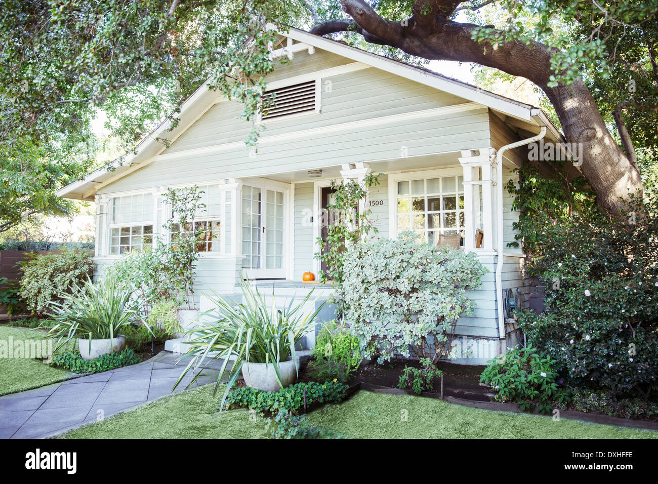 Les plantes et les arbres autour de house Banque D'Images