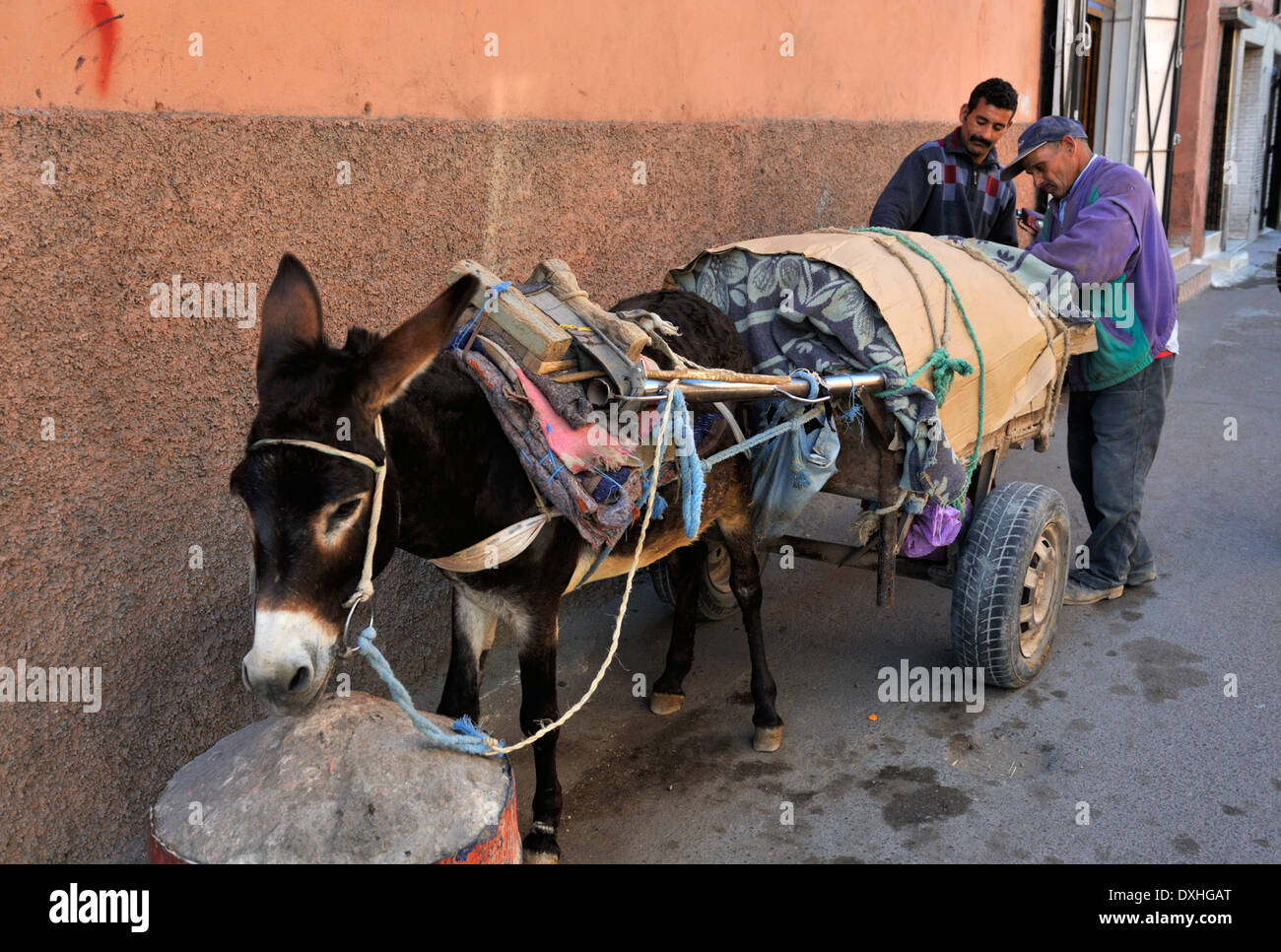 Cart maroc Banque de photographies et d’images à haute résolution - Alamy