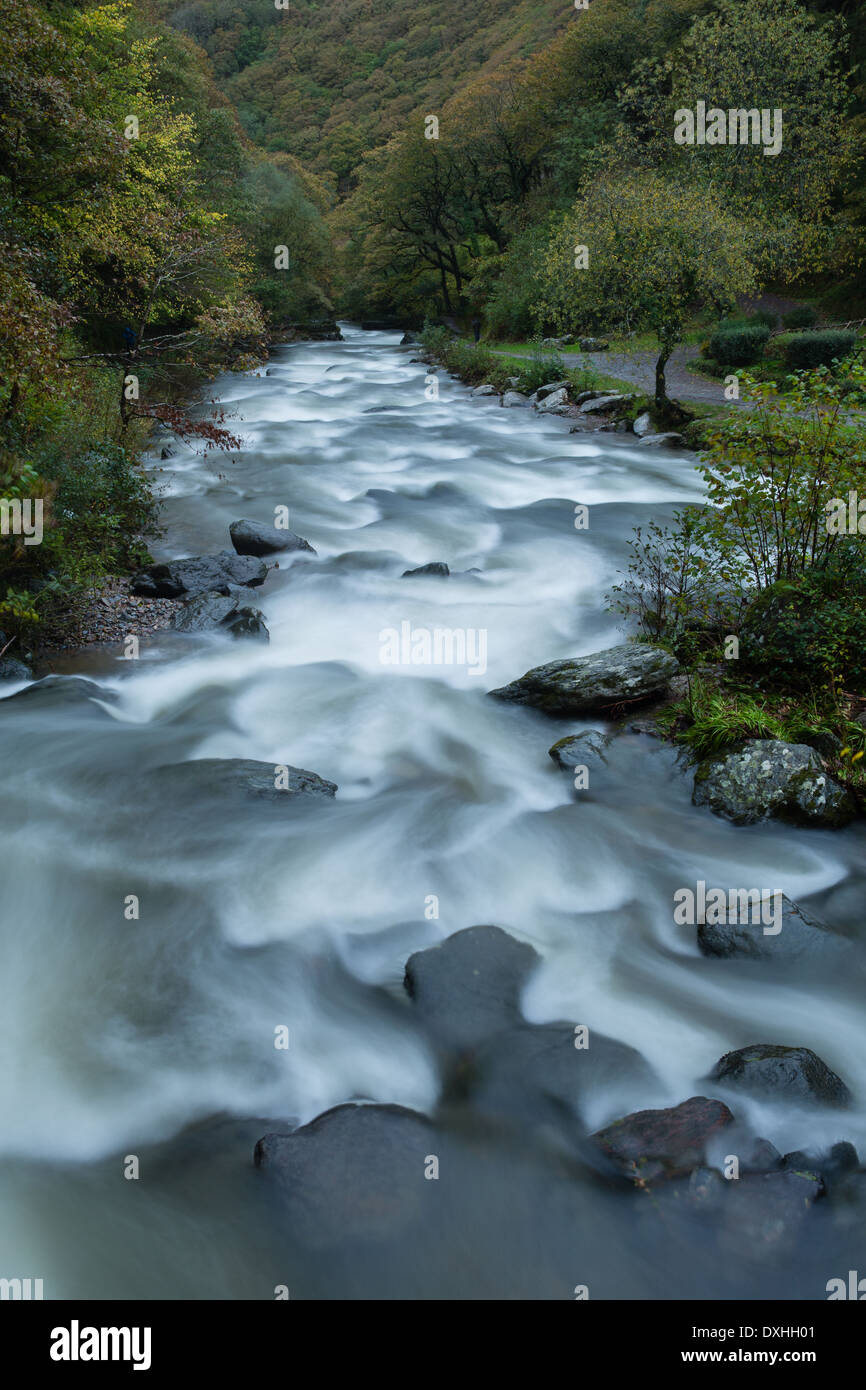 Watersmeet, où les vallées de l'East Lyn et Hoar Oak fusionner l'eau, Parc National d'Exmoor, Devon, England, UK Banque D'Images