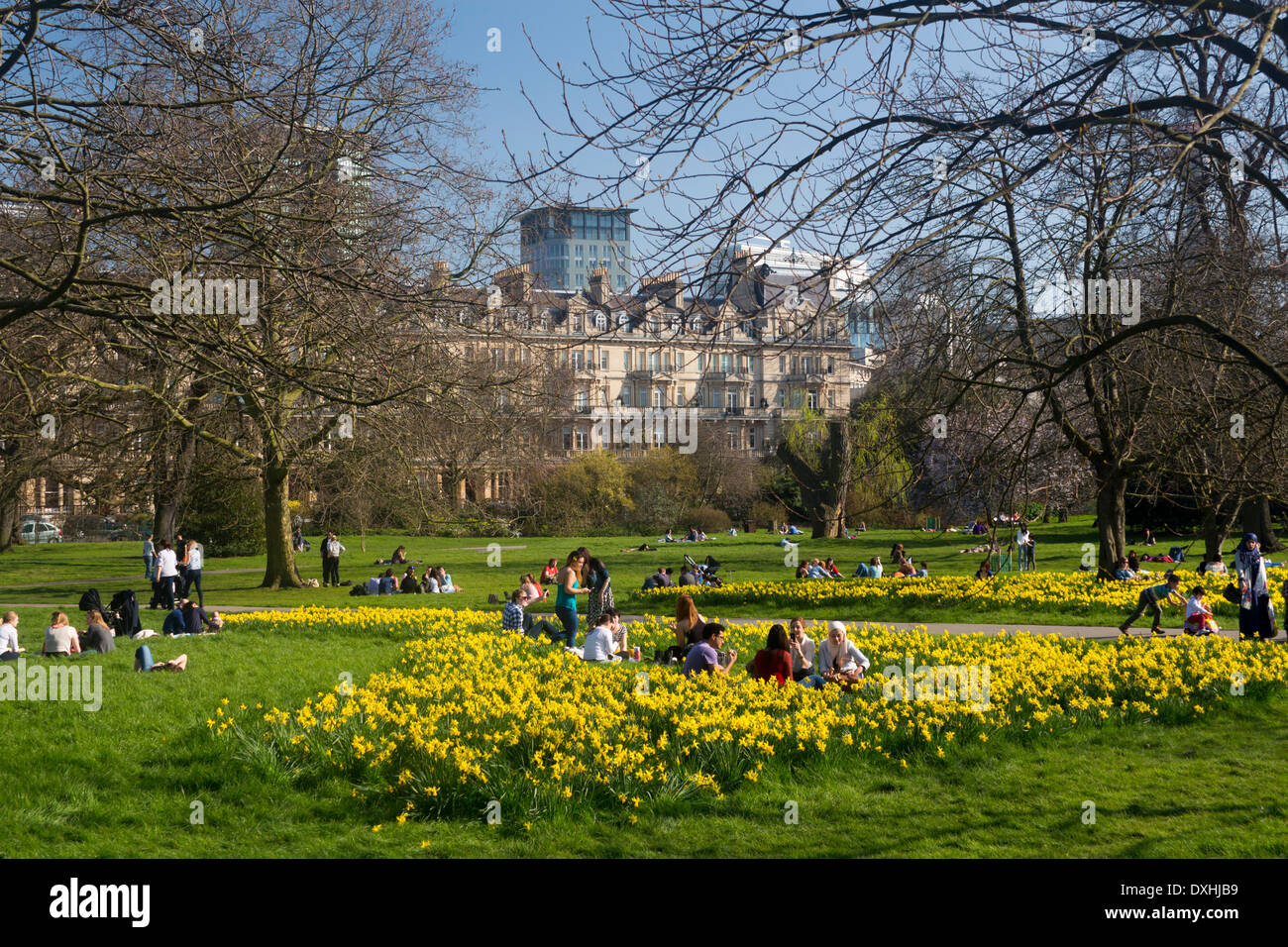 Regent's Park au printemps de jonquilles et de s'épanouir sur les arbres des gens assis sur l'herbe parmi les fleurs London England UK Banque D'Images