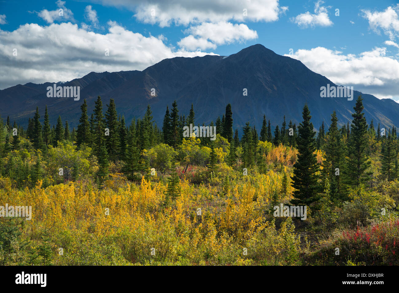 La gamme Dalton, St Elias, Réserve de parc national Kluane, Yukon, Canada Banque D'Images