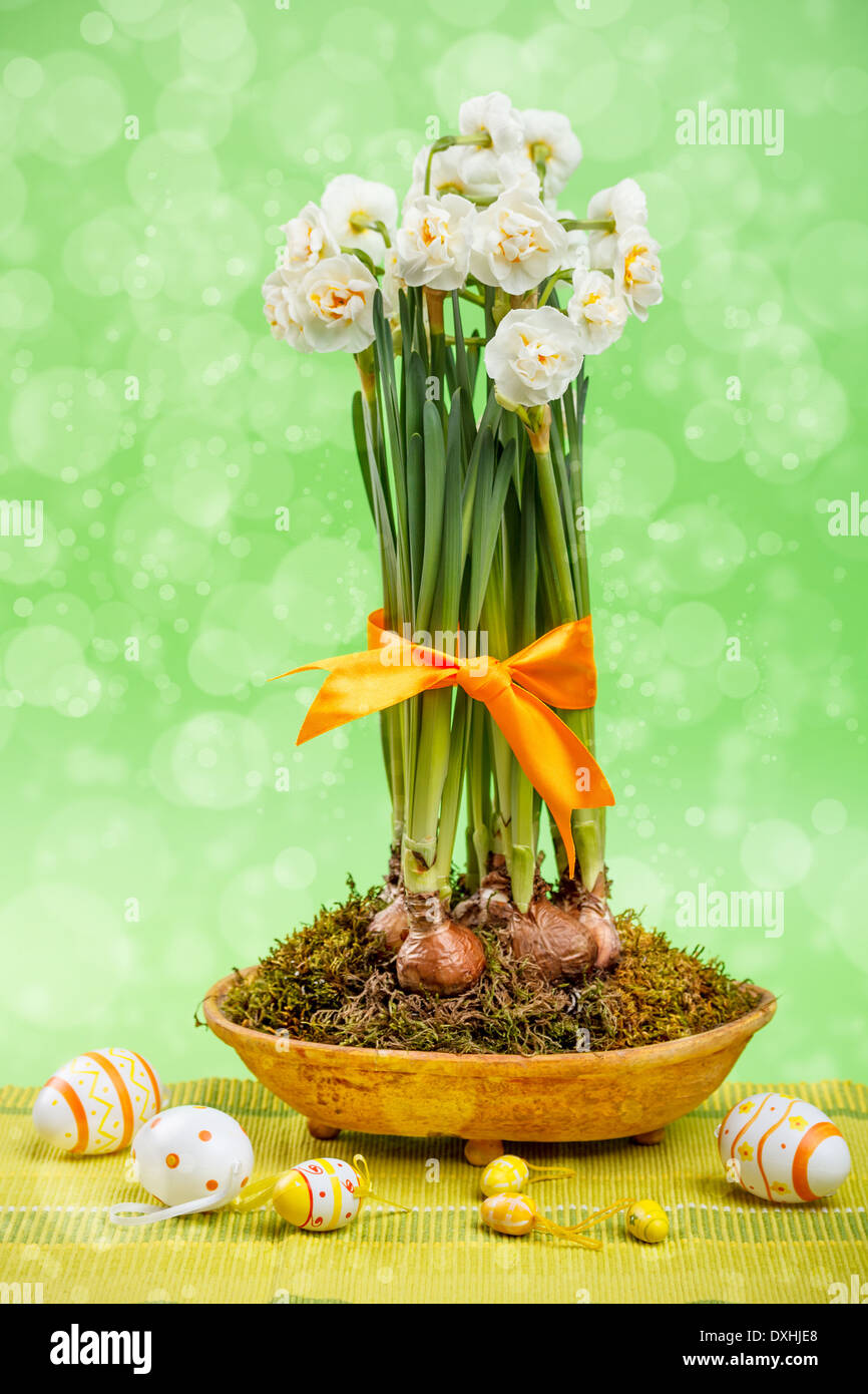 Les fleurs de printemps dans des pots avec décoration de Pâques Banque D'Images