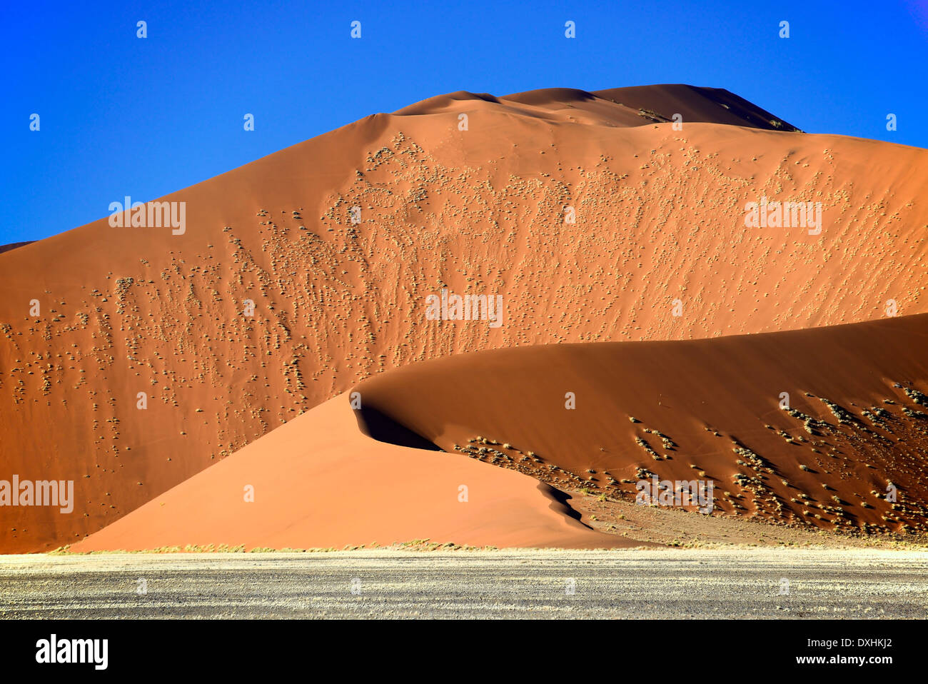 D'immenses dunes de sable, Sossusvlei, désert du Namib, Namib-Naukluft national park, Namibie, Afrique Banque D'Images